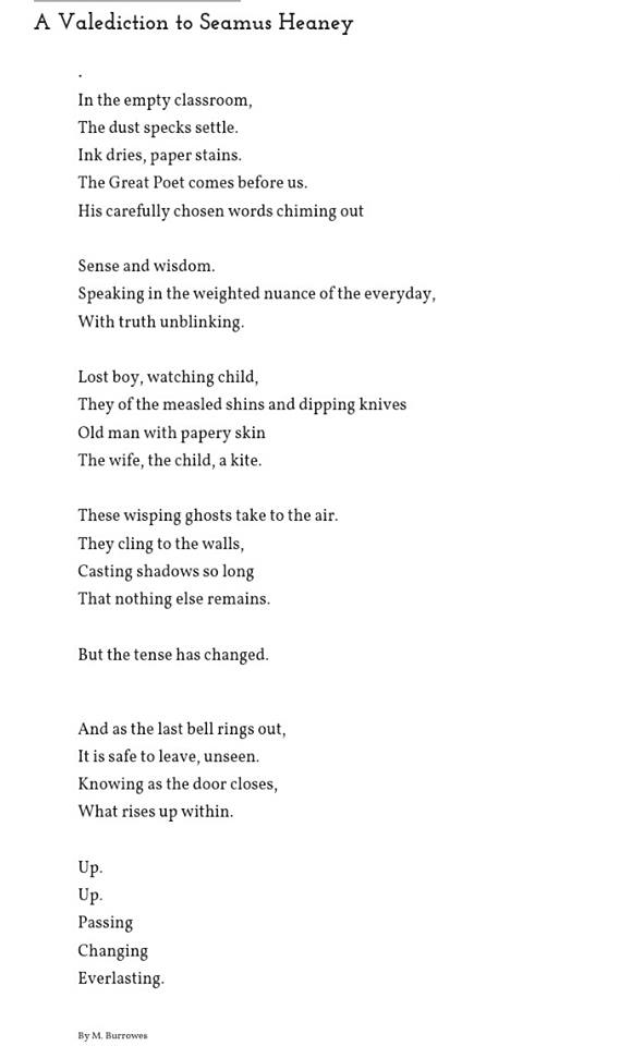 My Book Affair A Valediction To Seamus Heaney