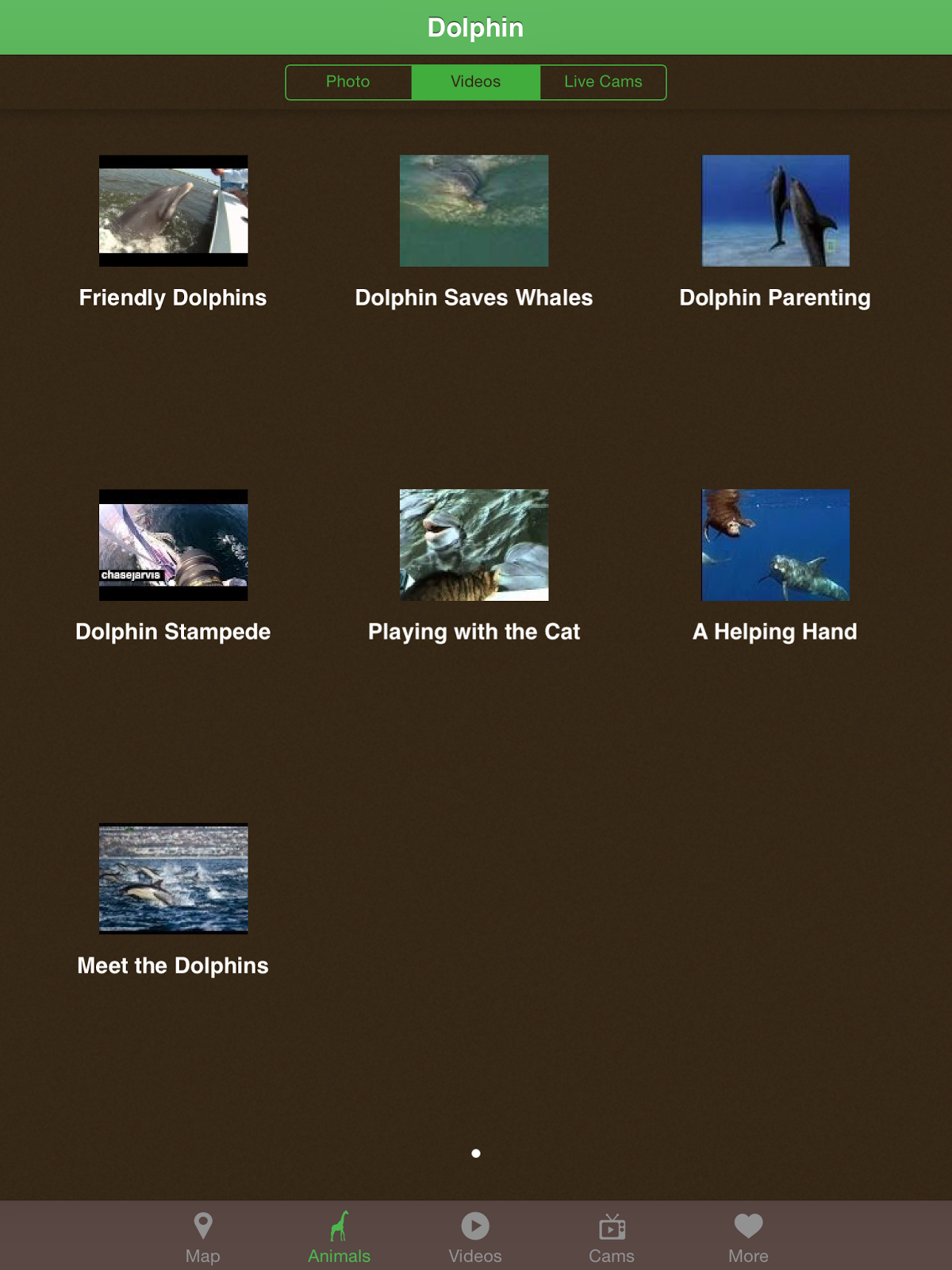 Pocket Zoo App Research for Primary Grades The Techie Teacher®