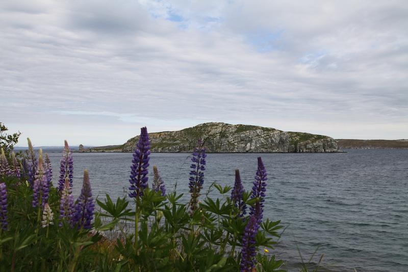 bay roberts