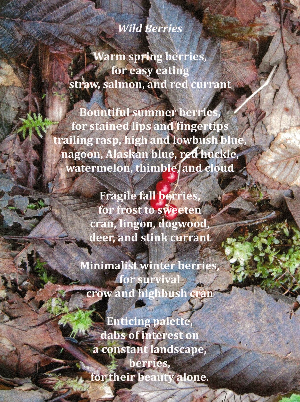 Kindling Wild Berries, A Poem