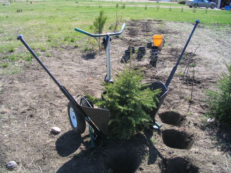 It's science, but it works like magic.: How To Feed A Rabbit