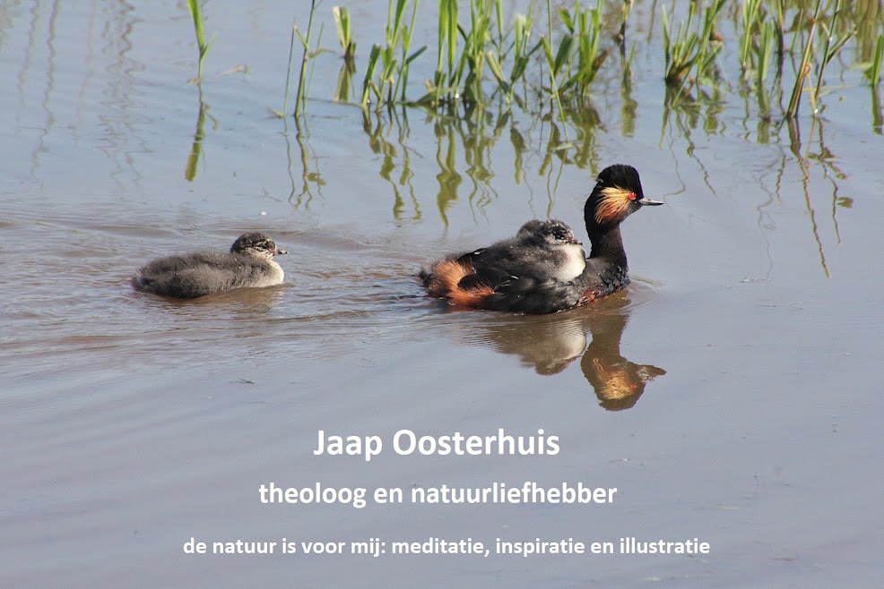 Jaap Oosterhuis - theoloog en natuurliefhebber