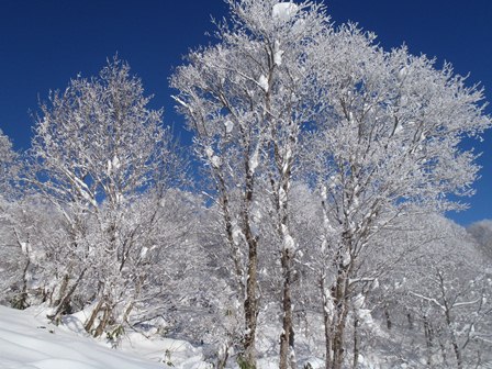スキー 池の平 場 天気 温泉 池の平温泉スキー場の天気（新潟県妙高市）｜マピオン天気予報