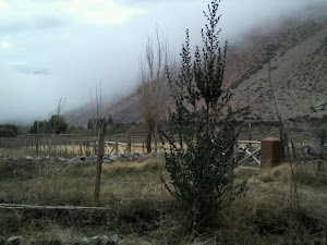 La LLegada de las Nubes, Quillalles, Alamos , Molles, Maitenes conforman un paisaje unico