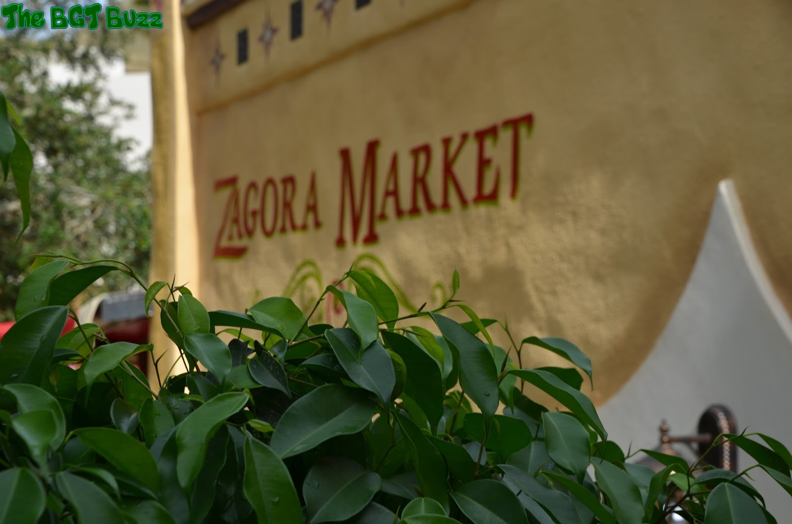 The Bgt Buzz The Zagora Market Opens At Busch Gardens Tampa