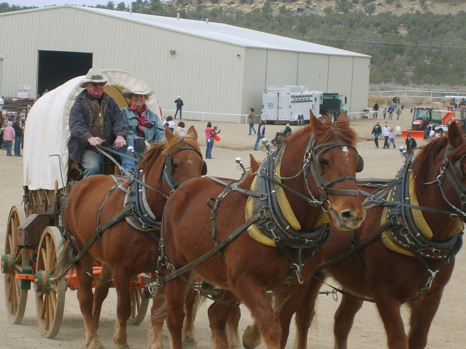 Four Corners Draft horse, Mule, and Carriage Assn.