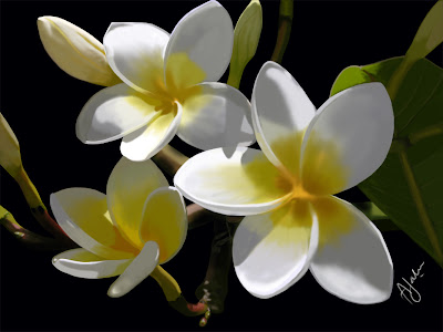 Beautiful Flowers Beautiful Flowers
