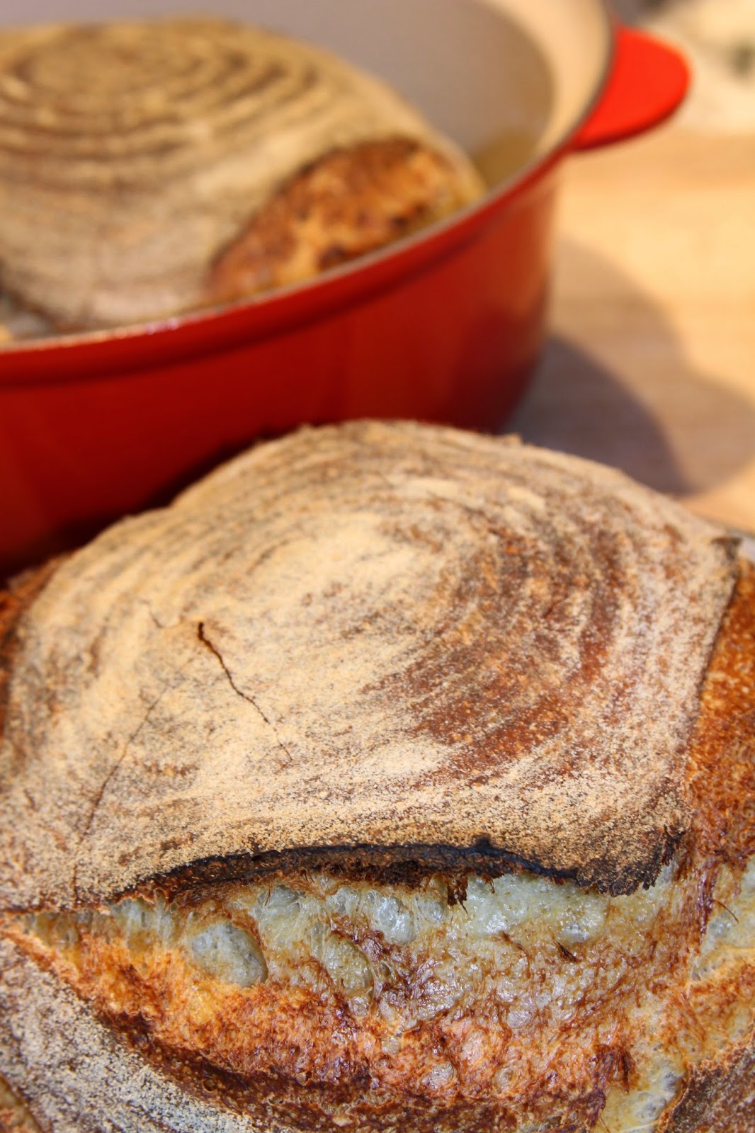 Vermont Sourdough with Whole Wheat Ever Open Sauce