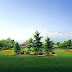 idool Mi jardín verde - My green garden (espacios recreativos)