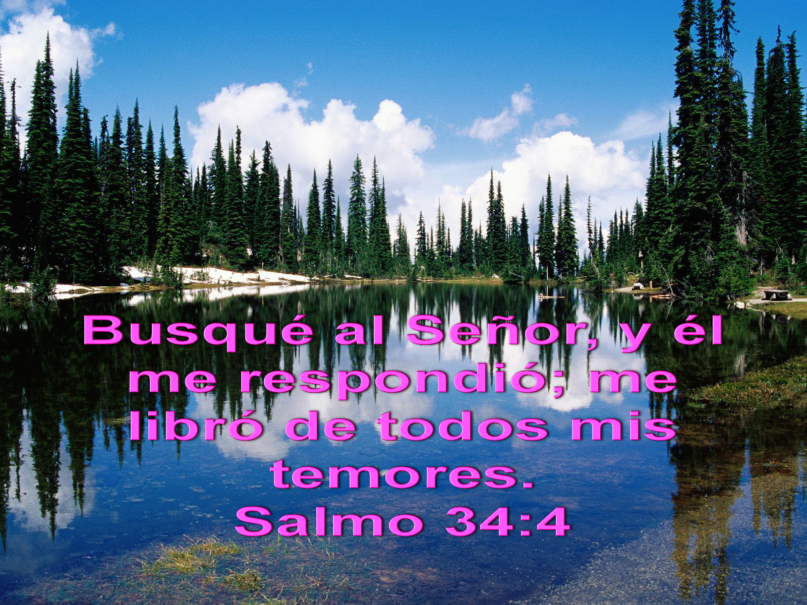 Salmo 34
