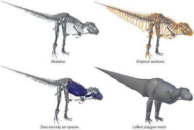 trex size trex size