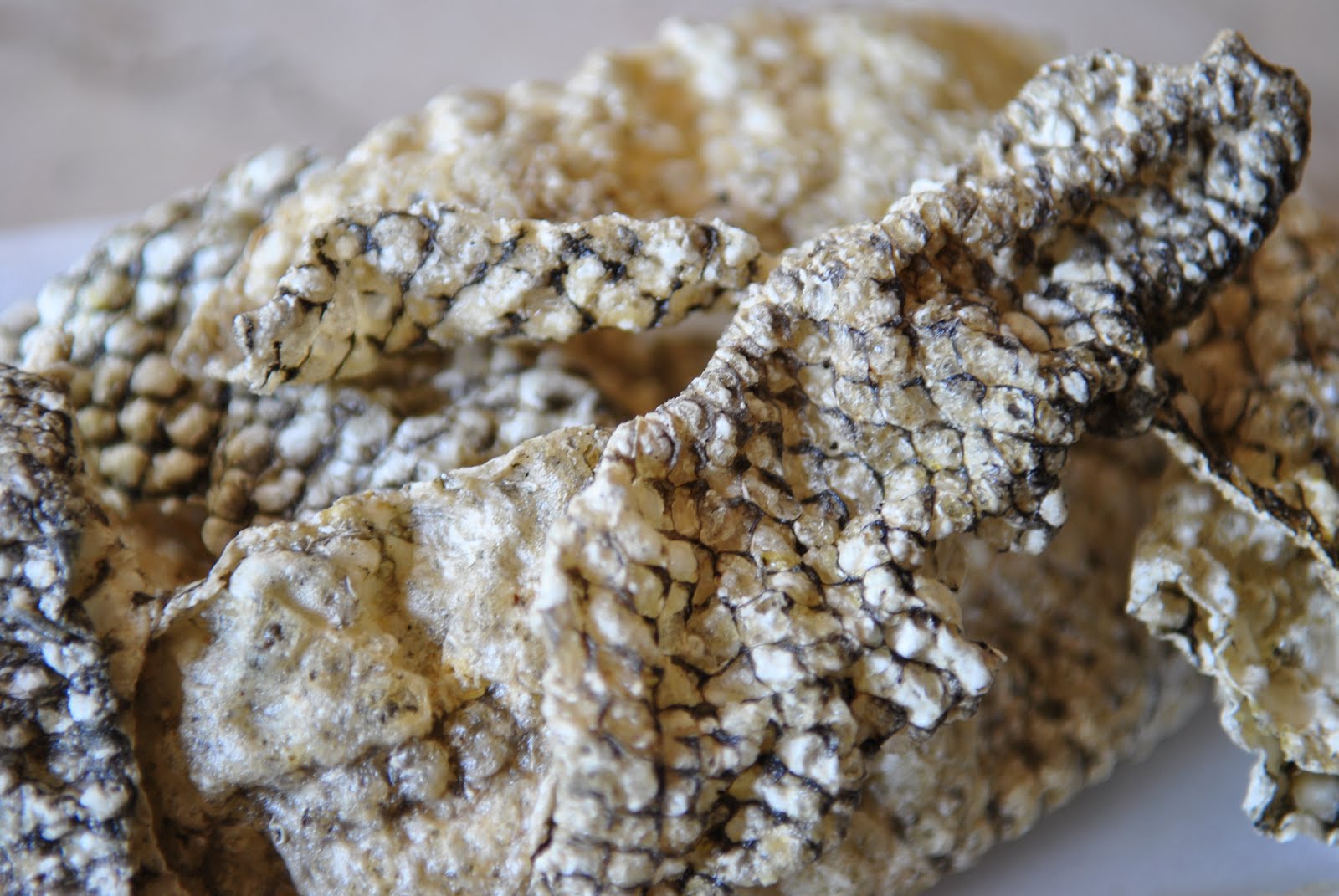 Food Health Reviews Tilapia Skin Chicharon