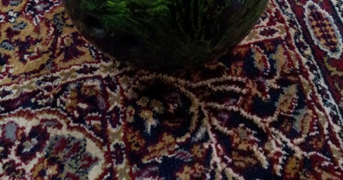 brunswick swamp monster bowling ball