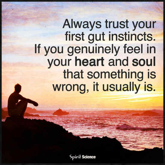 Trust Your Instincts Quotes Always Trust Your First Gut Instincts. - Spirit Science Quotes