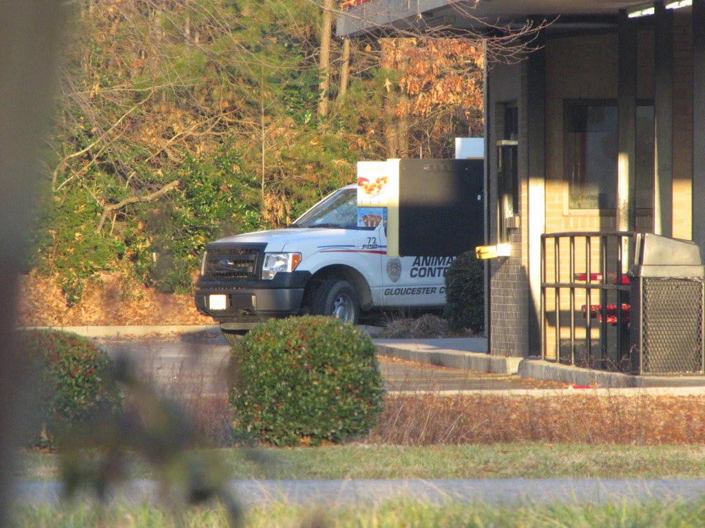 Gloucester VA Links and News Gloucester, Virginia Animal Control Still
