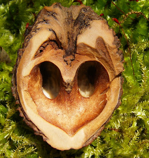 Wanderungen Durch Die Natur Beim Suchen