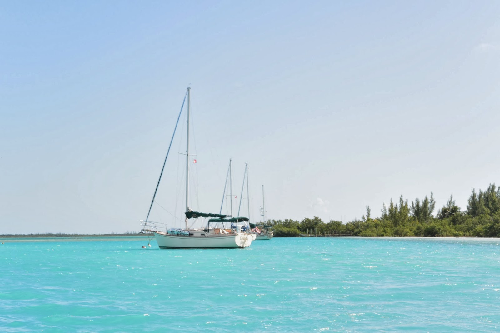 Eventyr Monster lobster in Spanish Wells