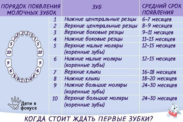 Речь о себе на конкурс мисс Речь о себе на конкурс мисс