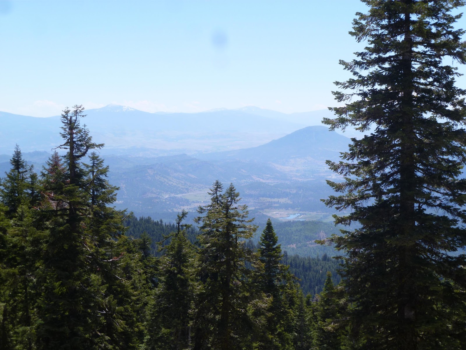 On the Road to Abigail's Mt. Ashland
