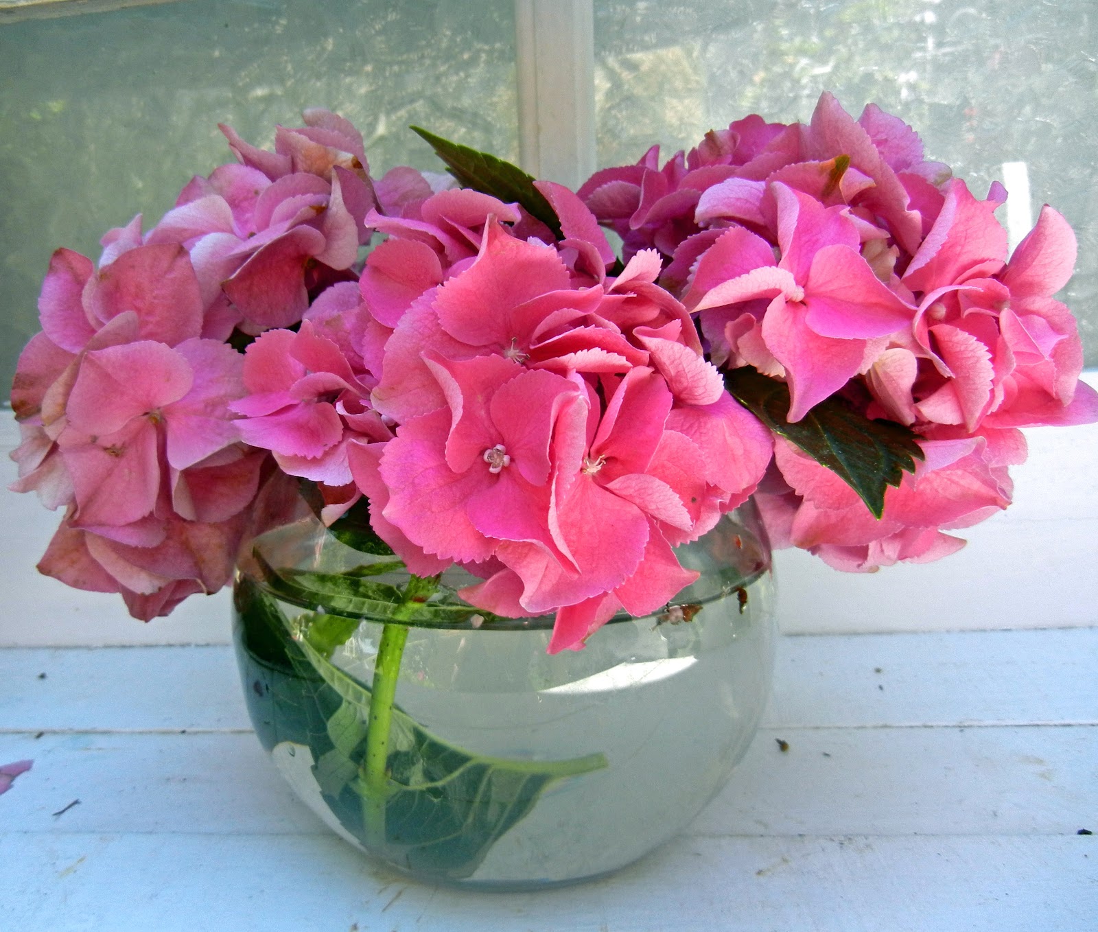 My Painted Garden Painting Pink Hydrangeas