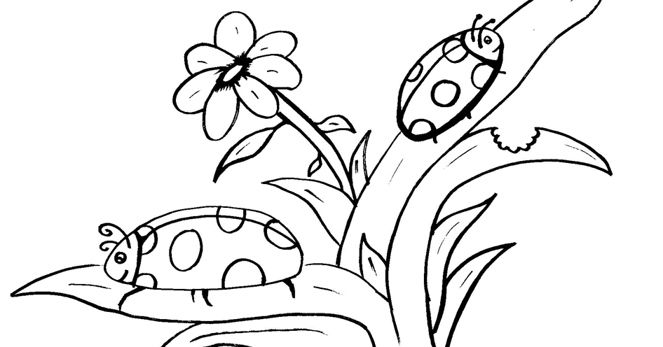 Ladybug Coloring Page ~ Child Coloring