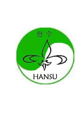 Escuela de Taekwondo Hansu