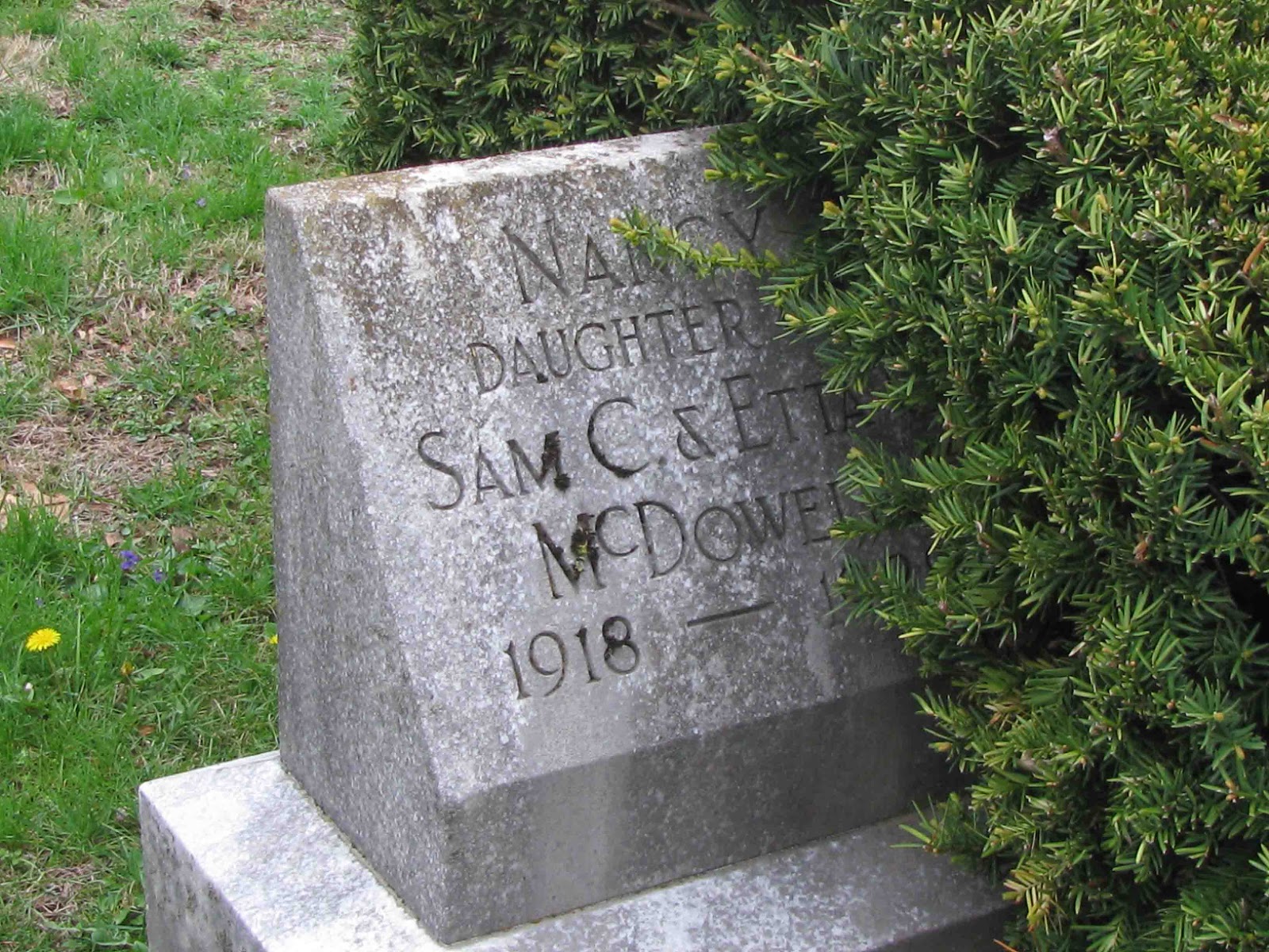 A Grave Interest Serene and Evergreen Cemeteries Allowing Plants