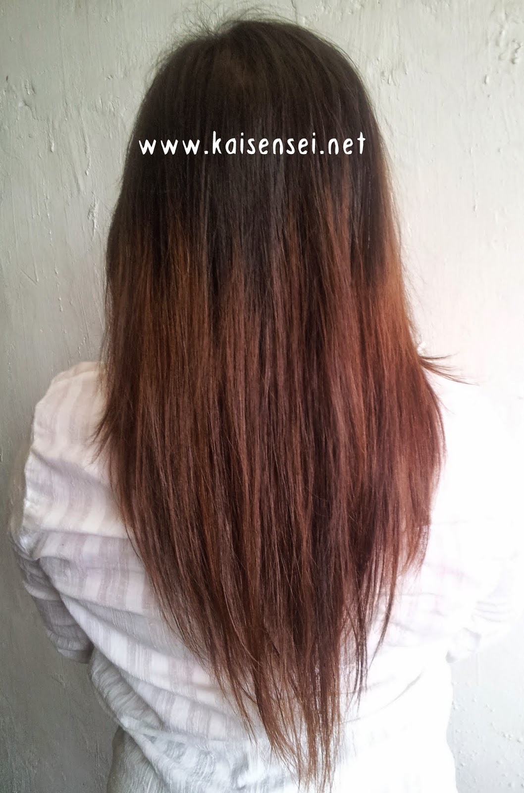 Brew Of The Day Wen Cleansing Sweet Almond Mint Conditioner Review