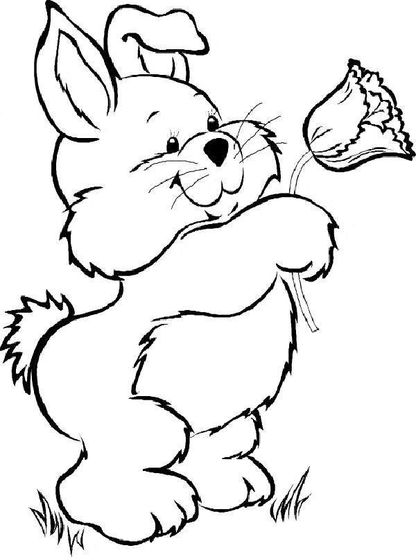 Easter Bunny Coloring Pages Easter Bunny Coloring Pages