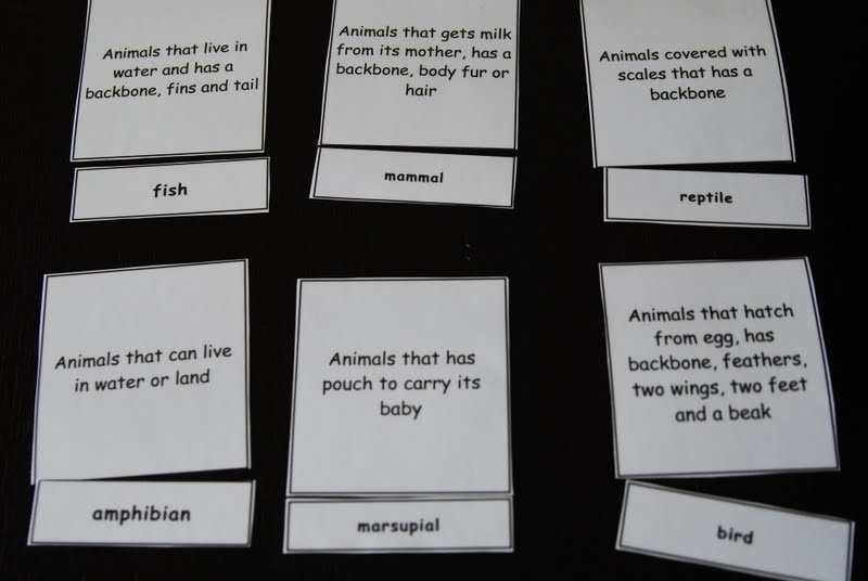 Homeschool @ SG: Types of Animal