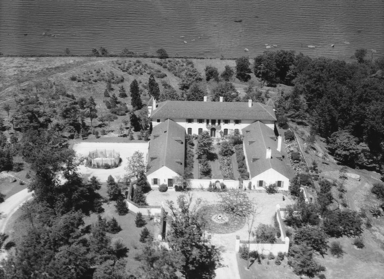 Old Long Island 'Mille Fleurs'