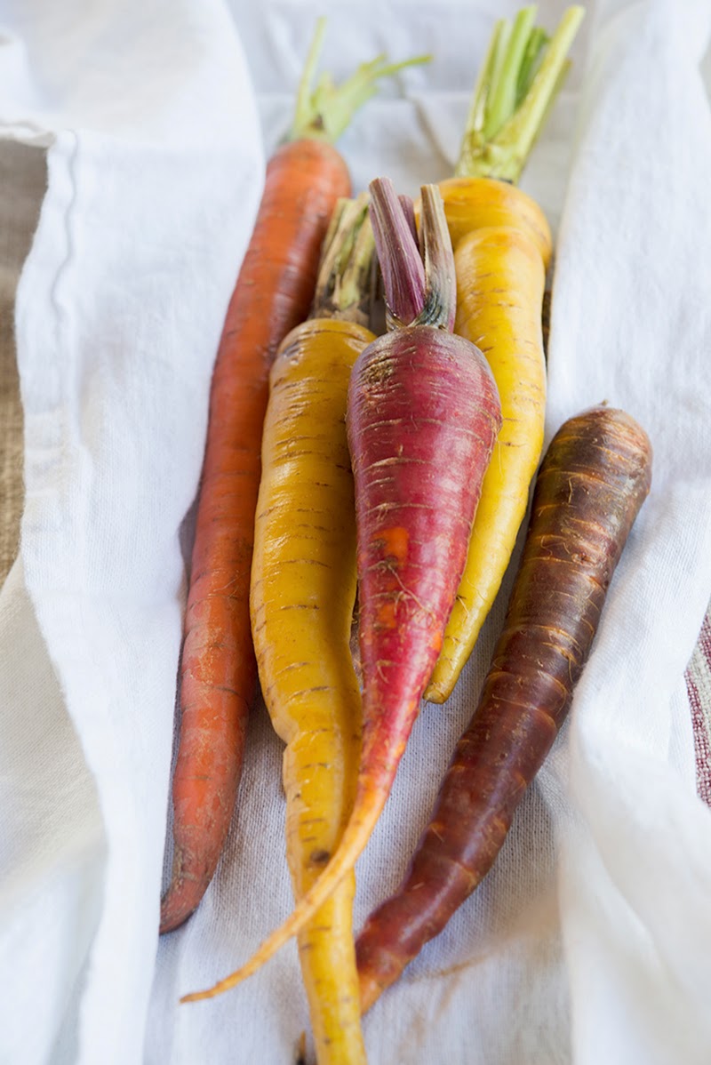 Apple, Fennel, & Kohlrabi Salad with MapleRoasted Pecans WILD GREENS