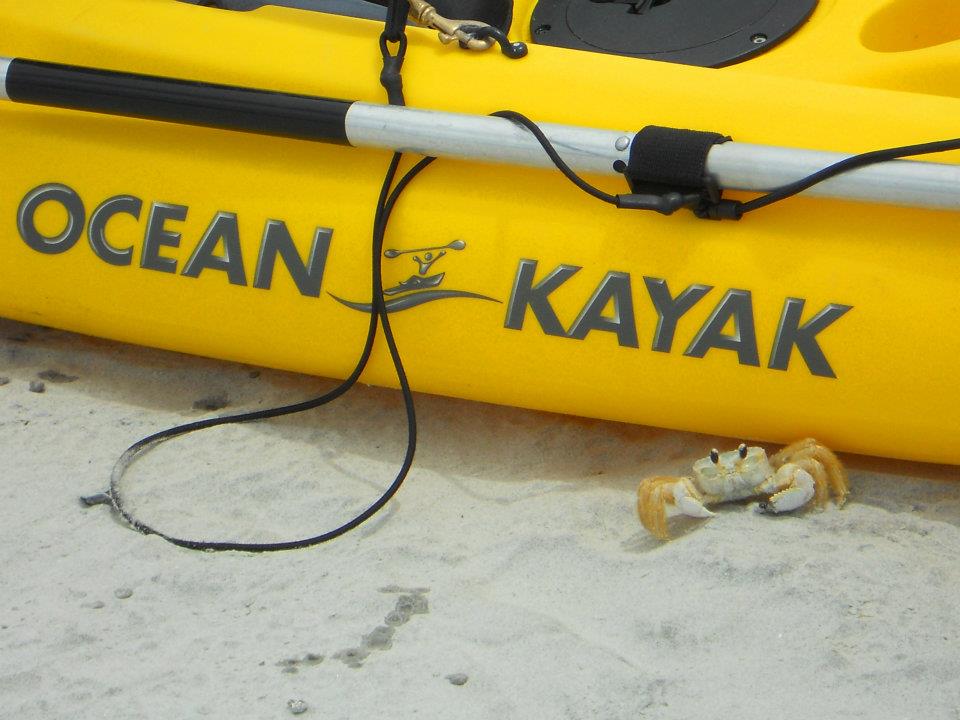 It's the Sound of Sunshine This Weekend's VIP Paddle Leash