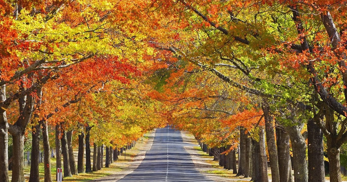 Autumn Wallpaper HD | oursongfortoday