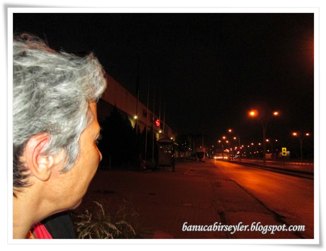 Banuca Birseyler 14 Agustos Istanbul Macerasi