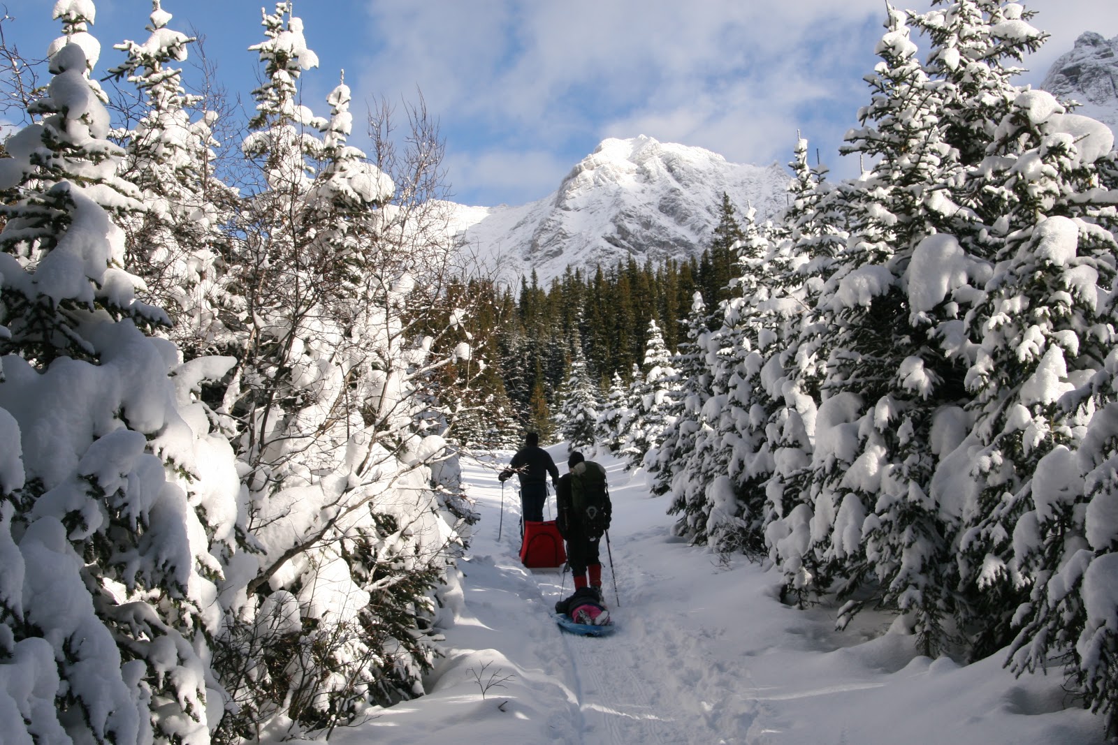Family Adventures in the Canadian Rockies Early Winter Snowshoeing at Highwood Pass