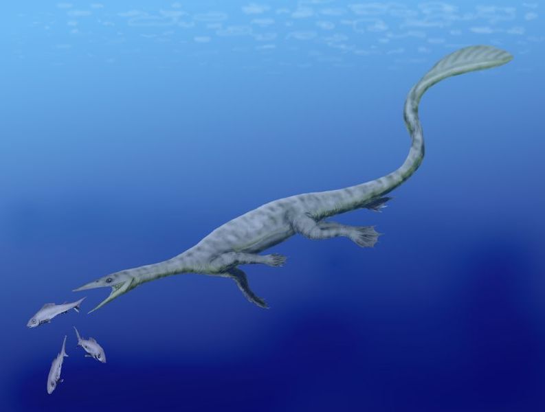 Reptossaurus THALATTOSAURIA