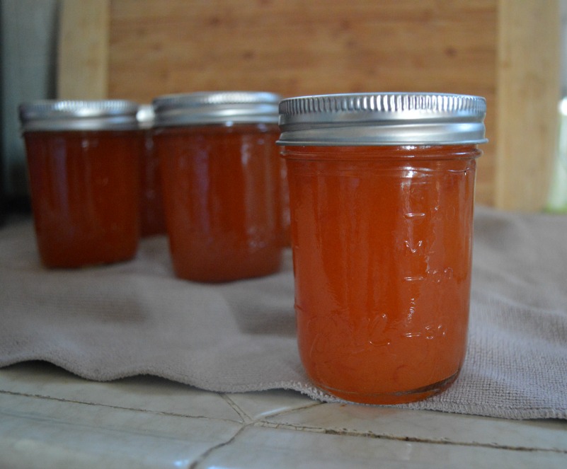 Crochet Dynamite Habanero Pineapple Jelly