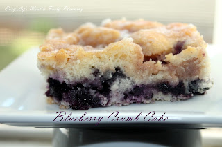 The Perfect Blueberry Crumb Cake - Easy Life Meal & Party Planning