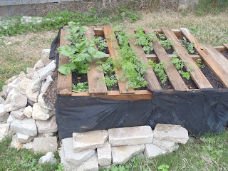 Pallet Garden 