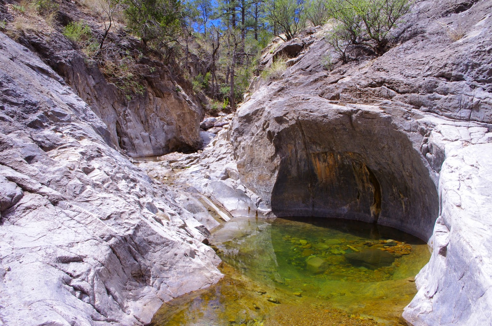 Southern New Mexico Explorer Mineral Creek, North Percha Creek Hike