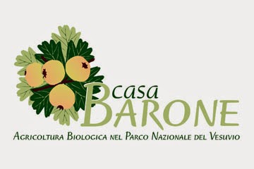 Casa Barone