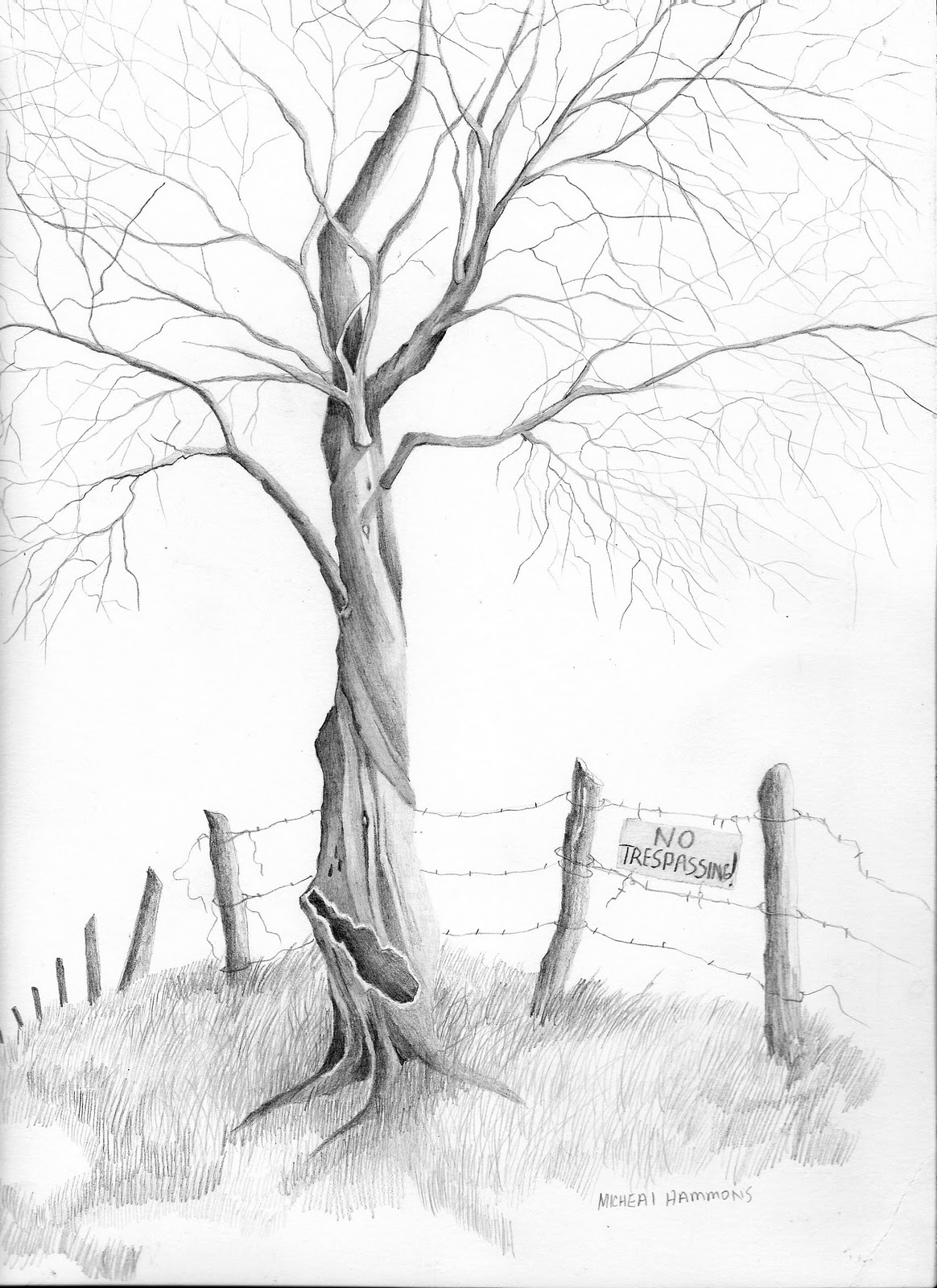 Simple Sketches Of Drawing Trees for Adult