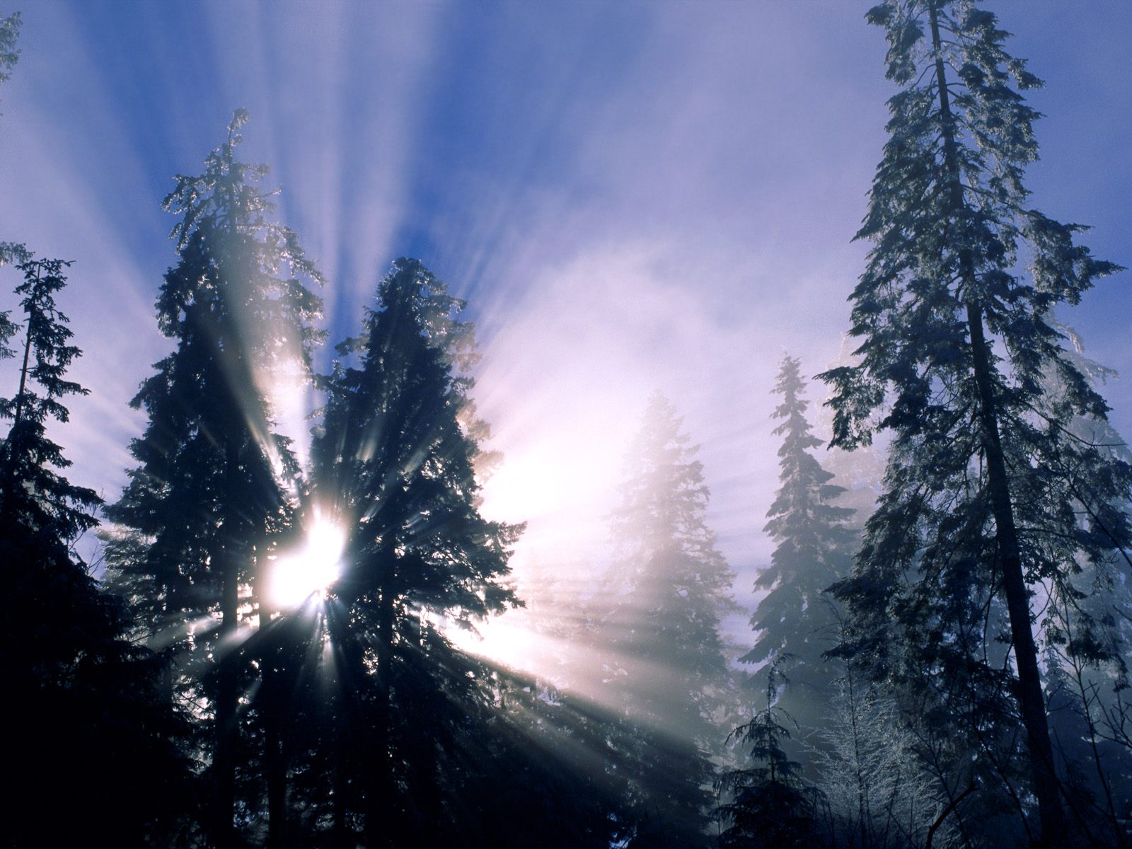 http://2.bp.blogspot.com/-QmK-1enekOY/UJT9C7iD6fI/AAAAAAAA2aQ/LPb--fI8KQ4/s1600/Winter+20.jpg