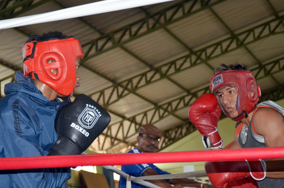 Campeonato Continental Ecuador  Federación Mexicana de Boxeo