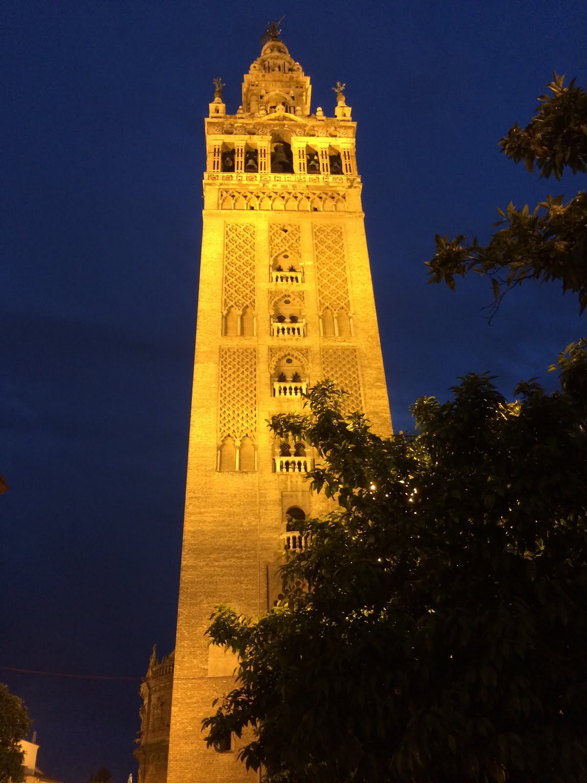 Turris fortissima.