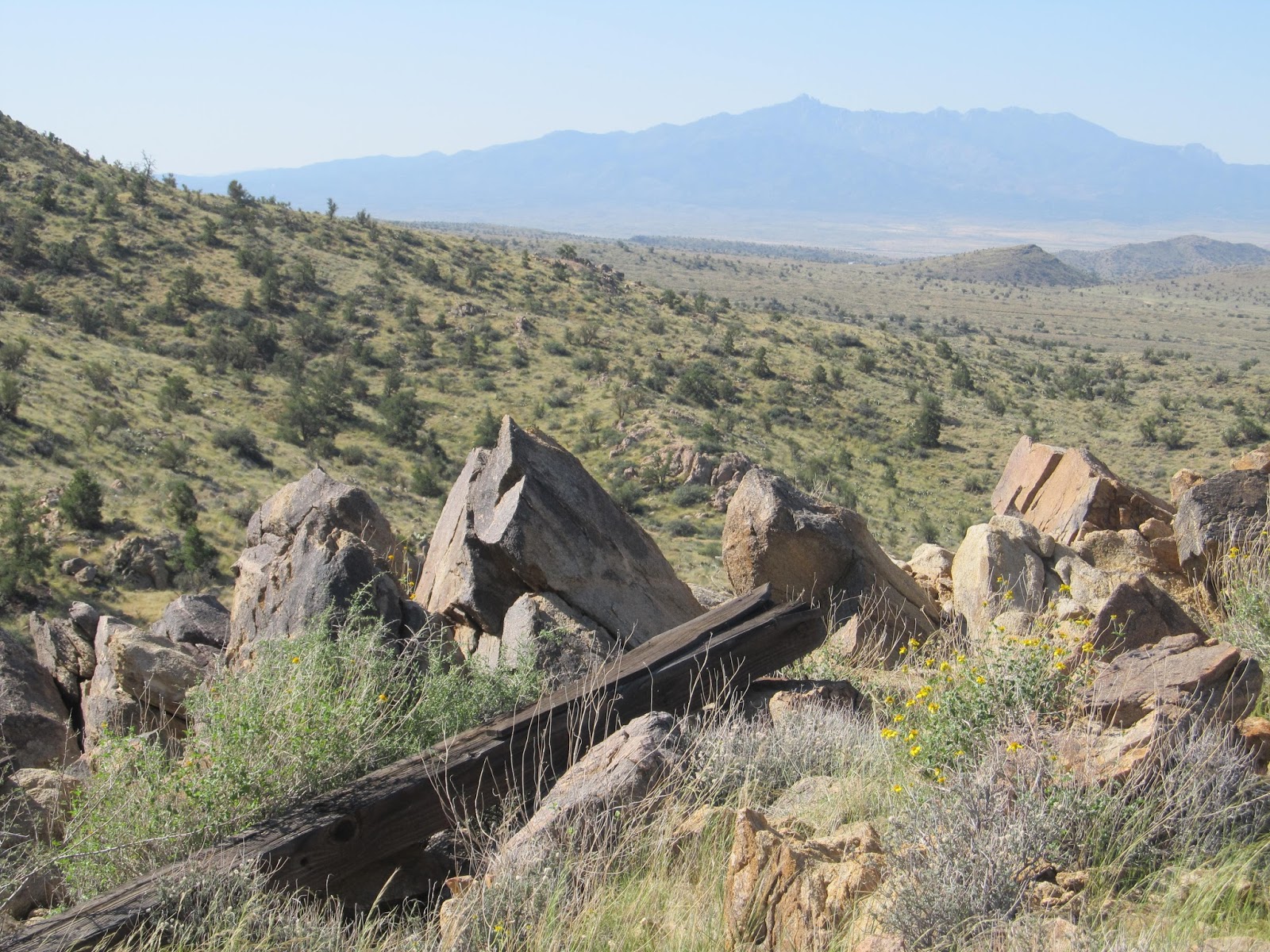 Chambers Realty Group Blog Peacock Mountain Ranches, Kingman Arizona