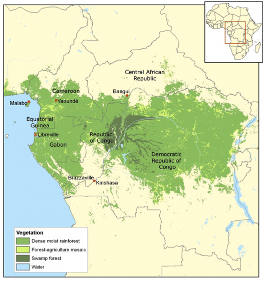 congo rainforest ecosystem The congo basin forms the tropical rainforest at the core of the continent the ecoregions or biomes are large geographic units that encompass areas of. congo rainforest ecosystem The congo basin forms the tropical rainforest at the core of the continent the ecoregions or biomes are large geographic units that encompass areas of.
