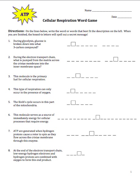 Carbon Dating Activity Worksheet Answers