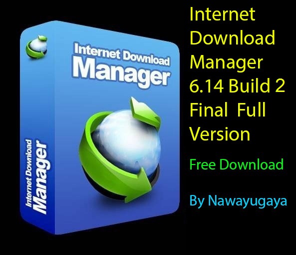 Internet Download Manager 6.28 Build 17